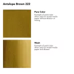 https://www.tintadlaplastykow.pl/gfx/photos/offer_19152217/tusz-akrylowy-daler-rowney-fw-ink-30-ml-222-antelope-brown_2_241862849084418.webp