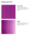 https://www.tintadlaplastykow.pl/gfx/photos/offer_19152226/tusz-akrylowy-daler-rowney-fw-ink-30-ml-437-purple-lake_2_1952468024152227.webp