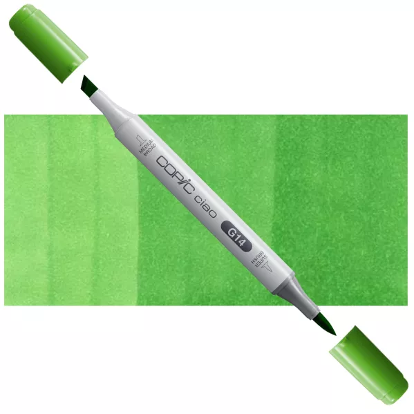 https://www.tintadlaplastykow.pl/gfx/photos/offer_3634303/marker-copic-ciao-g14-apple-green_2_1284839133202934.webp