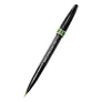 Brush Pen Pentel Sign Pen Artist Green SESF30C-DX