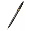 Brush Pen Pentel Sign Pen Artist Brown SESF30C-EX