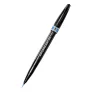 Brush Pen Pentel Sign Pen Artist Sky Blue SESF30C-SX