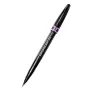 Brush Pen Pentel Sign Pen Artist Violet SESF30C-VX