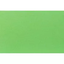 Brystol Fabriano Colore 200 gsm 100 x 70 cm Verde Pisello Zielony Jasny