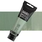 https://www.tintadlaplastykow.pl/gfx/photos/offer_45661165/liquitex-basics-118-ml-205-green-grey.webp