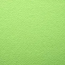 Papier Prisma Favini A4 220 gsm Pistacchio 18