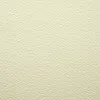 Papier Prisma Favini B1 220 gsm Avorio - Ivory 11