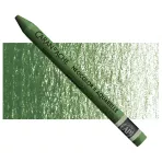 https://www.tintadlaplastykow.pl/gfx/photos/offer_48493513/pastela-caran-d039ache-neocolor-ii-aquarelle-225-moss-green_3_512150575144631.webp