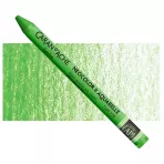 https://www.tintadlaplastykow.pl/gfx/photos/offer_48493536/pastela-caran-d039ache-neocolor-ii-aquarelle-720-bright-green_3_273950565150945.webp