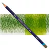 Kredka Derwent Inktense 1560 Fern