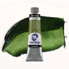 Farba Olejna Talens Van Gogh 40 ml I 623 Sap Green