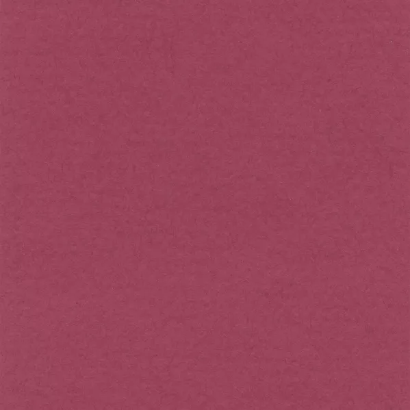 https://www.tintadlaplastykow.pl/gfx/photos/offer_66482794/papier-lana-colours-120-gsm-a4-claret_2_443897055151905.webp