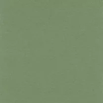 Papier Lana Colours 160 gsm A4 Sap Green
