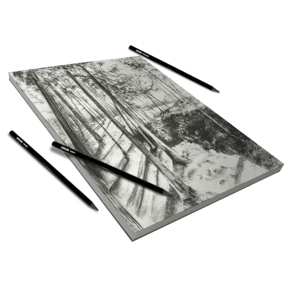 https://www.tintadlaplastykow.pl/gfx/photos/offer_67358892/blok-do-wegla-zieler-charcoal-drawing-150-gsm-a4-30-ark-09299539_3_943779352155732.webp